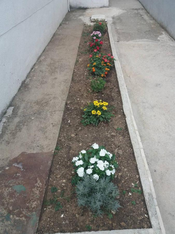 Apartments Radulovic 수토모레 외부 사진